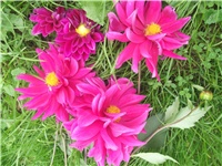 59ac5fb7-Picture 006.jpg